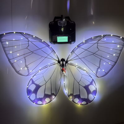 The Cerulean Morpho Frame