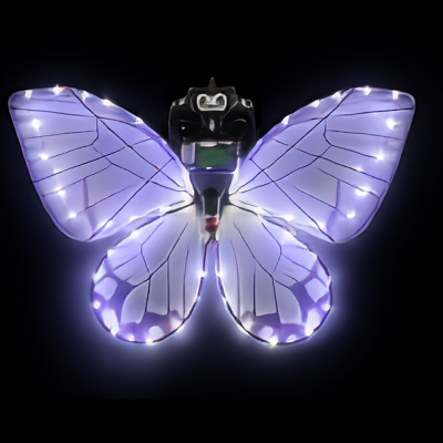 The Sunset Moth Dome