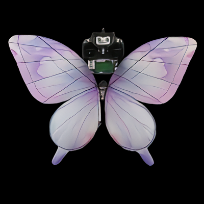 The Emerald Swallowtail Frame